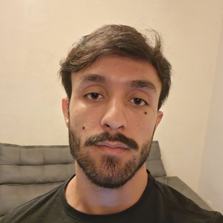 João Pedro Martins Alves da Silva